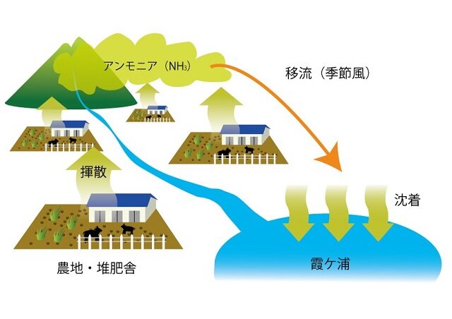 霞ヶ浦流域の大気中アンモニア、冬季に高濃度 ―濃度分布を初調査、富栄養化対策に継続的観測を