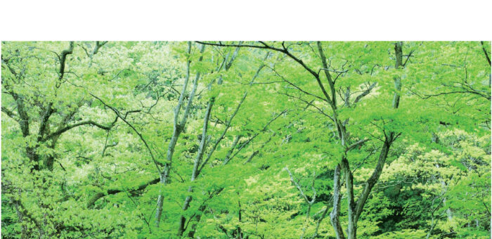 第4次茨城県環境基本計画の策定および茨城県地球温暖化対策実行計画の改定